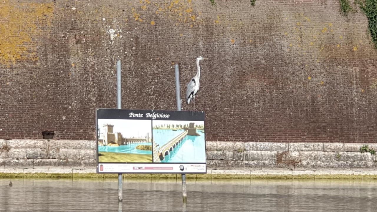 Casa Vacanza & Suite Joy Peschiera del Garda Eksteriør billede
